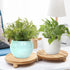 2 Pack Counter, Wood Riser for Decor, Wood Pedestal Stand for Display, Round Wooden Tray for Kitchen Wooden Pedestal