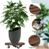 2pack 12Wood 2 360 Yangbaga Plant Caddy Duty Rolling Plant Stand with Lockable Caster Wheels,Indoor Outdoor on Roller