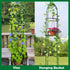 LeJoy Garden 100% 6.3 Tower Obelisk Garden Trellis Metal Feet Tall Plant Support for Climbing Vines and Flowers