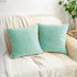 HWY 50 Aqua Green Velvet Throw Pillow Covers 20x20 Inch, Pack of 2 Soft Cozy Solid Decorative Cushion Cases for Couch