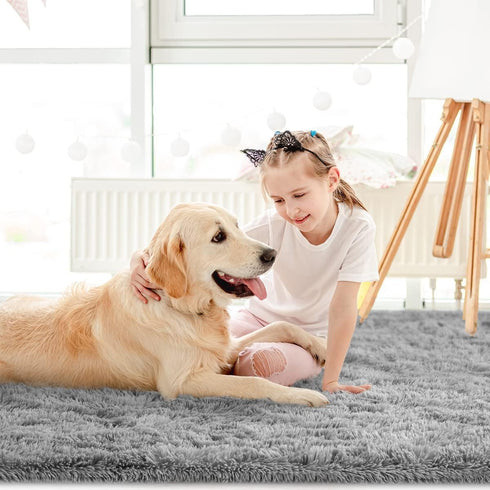 LOCHAS Gray Ultra Soft Indoor Modern Area Rugs 4x5.3 Feet, Fluffy Living Room Carpets for Children Bedroom Nursery Decor