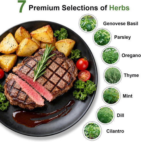 TitaniX (7-pod) Gourmet Herb Seed Pod Kit for AeroGarden, idoo, Ahopegarden, MUFGA with Basil, Parsley, Thyme, Mint