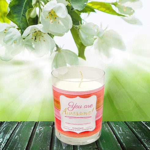 You are Awesome! Best Friend Candle, Friendship Gifts for Women, Birthday Gifts for Friends, Christmas Candle, Vanilla