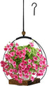 3-5.5 Inch Hanging Planter for Indoor Plants, Black Plant Hanger Indoor with Sturdy Wood Base, Modern Boho Macrame