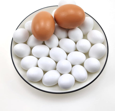 Azatemgo 10 Pieces Pigeon Eggs Solid Plastic Eggs for Hatching Help Limit Births Laying Pigeon Agricultural Tool