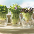 Bormioli Rocco Quattro Stagioni Airtight Pot, Clear