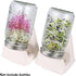 Sumnacon 3 Sprouting Jar Stand - Pcs Sprouting Stands With Water Tray For Any Mason Jars For Making