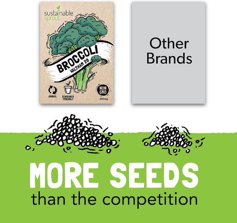 13 Vegetable Seeds for Planting: Heirloom Veggie Seeds for Planting Home Garden: Tomatoes Lettuce Beets Bell Pepper