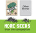 13 Vegetable Seeds for Planting: Heirloom Veggie Seeds for Planting Home Garden: Tomatoes Lettuce Beets Bell Pepper