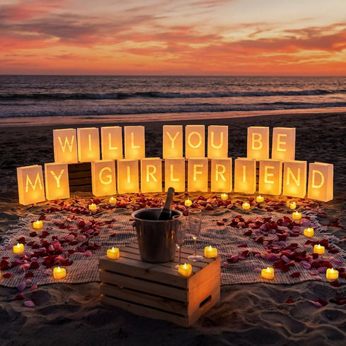 30PC 2000PC Will You Be My Girlfriend Light Up Letters Luminary Bags, Banner, Romantic Decoration Kit with Bright LED