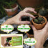 ZeeDix 2 Pcs 100% Organic Coconut Coir Brick, Compressed, Low EC & pH Balance for Plants Gardening Herbs