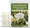 Scentsationals Wax Melts - Honeysuckle Nectar Strong Scented Melts for Warmer, 10oz (24-Cubes)