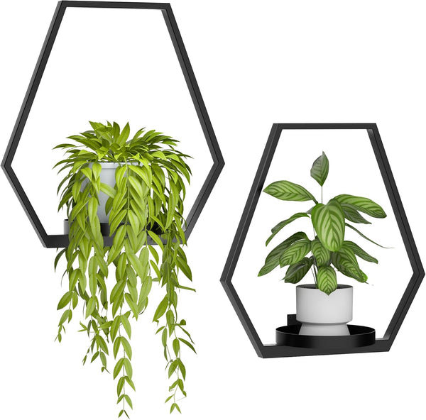 Wall Planters for Indoor Plants, Plant Frames Wall Decor Living Room Plant