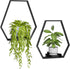 Wall Planters for Indoor Plants, Plant Frames Wall Decor Living Room Plant