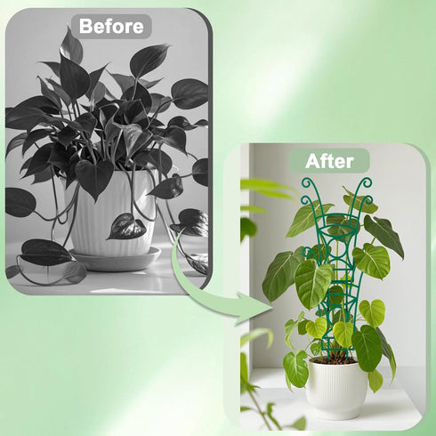 4 Pack Stackable Plant Trellis for Climbing Plants, Indoor/Outdoor Garden Trellis, Plant Support for Vine Ivy Hoya