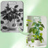 12 Pack Stackable Plant Trellis for Potted Plants, Garden Trellis Supports Peas, Ivy & Flowering Vines, Plastic