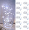 12 Pack Led Fairy Lights - White, Battery Operated LED Silver Wire