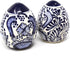 Encantada Handmade Hand-Painted Authentic Mexican Pottery, Salt and Pepper Shaker Set, Blue Flower (MC085F-K2)