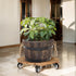 2pack 12inches 264 Lbs 360 Idzo Wood Plant Caddy with Wheels Heavy Duty, Capacity, Acacia Hardwood Plant Dolly, Plant