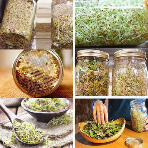 Sprouting Lids WIDE MOUTH, 316 Stainless Steel Mesh Lid Kit for Mason Jars, 4 Pack Sprouting Strainer Lids