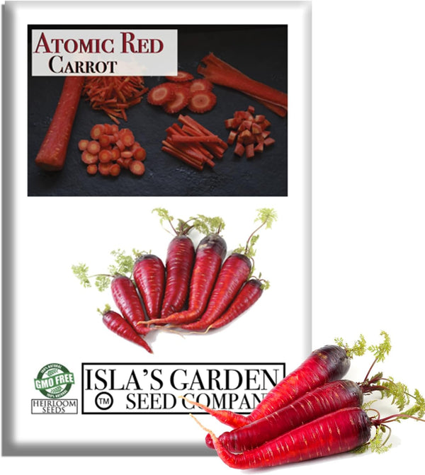 Atomic Red Carrot Seeds (Daucus carota) 250+ Non-GMO Heirloom Seeds, Vibrant Red