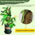 chicarry 6.6/13.2/26.4ft 2Pcs 8.3in3.3ft (6.6ft Moss Pole DIY Kit, Metal Moss Pole for Plants Monstera, Steel Mesh