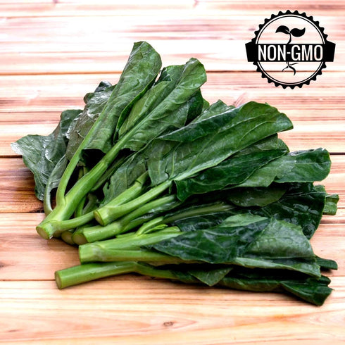 93% Gaea's Blessing Seeds - Gailan Seeds - Non-GMO Seeds with Easy to Follow Planting Instructions - Chinese Broccoli