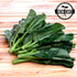 93% Gaea's Blessing Seeds - Gailan Seeds - Non-GMO Seeds with Easy to Follow Planting Instructions - Chinese Broccoli