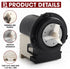 LG 4681EA2001T Washer Drain Pump Motor by Seentech, Compatible with LG Kenmore Washers, Replaces Part Numbers AP5328388