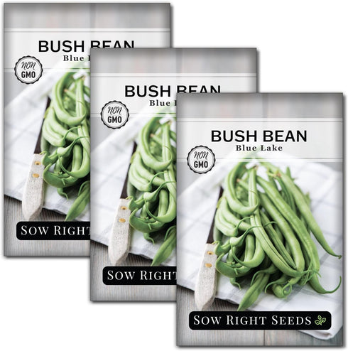 Sow Right Seeds - Blue Lake Bush Bean Seeds for Planting -
