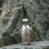 DOG ARTS JP Penguin, Made in UK, Artistic Style Animal Figurine Collection