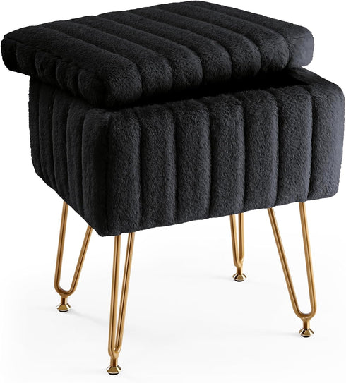 DUMOS Vanity Stool Chair, Ottoman with Storage, Makeup Cute Soft Small Footstool,
