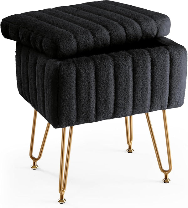 DUMOS Vanity Stool Chair, Ottoman with Storage, Makeup Cute Soft Small Footstool,