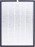 HR950 HEPA Filter Replacement for Winix ZERO/J, Models HR950/HR1000, Activated Carbon Filter, Part # 117130 405 * 305 *