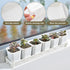 JoyHuaTrade 5 16 4.5 1.6 Inch PCS Plastic Plant Tray Saucer, Rectangular Windowsill Plant Drainage Stand for Indoors