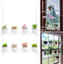 OtNiap 2-Tier 16inch,Indoor Clear Hanging Window Plant Shelves Windows Wall Hanging Plant Stand Flower Display,Flower