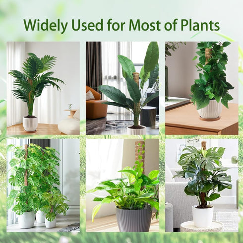 2 Pack 16 Inch Monstera Plant Support Moss Pole: Stackable Coco Coir Moss Totem Stake Tall Stand Grow Stick Plants Rod