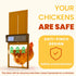 Anti-Pinch 5-Year Okkobi Automatic Chicken Coop Door Solar Powered - LCD Display - Chicken Coop Door with Remote