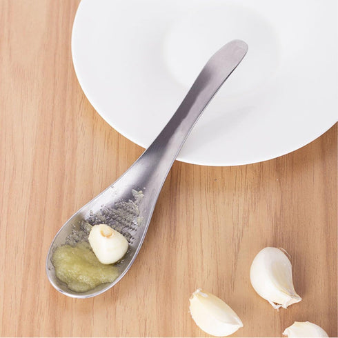 Stainless Steel Ginger Grater Spoon, Lime Lemon Zester, Cheese Grater, Garlic Press Grinding Gadget