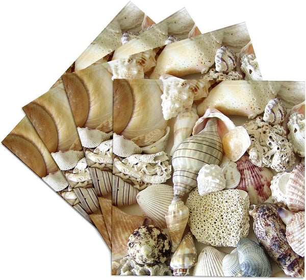 3dRose Florida Seashells II Ceramic Tile Coasters, Set of 4, CST_40854_3