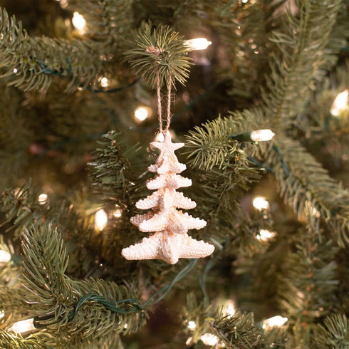 Midwest Starfish Tree Hanging Christmas Ornament, 3.7 inch, Cream