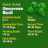 Pack 1,750+ HOME GROWN Non GMO Genovese Basil Seeds High Germination Heirloom Seeds (Ocimum basilicum) Herb Seeds