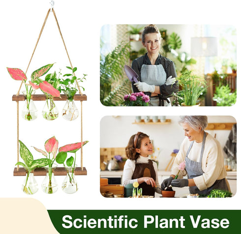 3 Bulb 2 XXXFLOWER Wall Hanging Propagation Station with Wooden Stand Vase Tiers Planters Wall Terrarium for Home