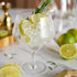 Viski Raye Angled Stemmed Gin and Tonic Glasses, Set of 2, Premium Crystal Clear Cocktail Gin Glasses for Gin Lovers