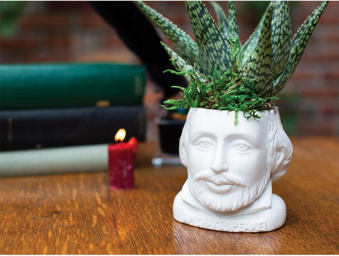 William Shakespeare Bust Succulent Planter, Ceramic Plant Holder Pot for Small Cactus, Flowers, Herbs