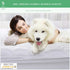UNILIBRA Waterproof Mattress Protector Queen Size - Rayon from Bamboo, Deep Pocket Mattress Pad Cover