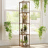 5 Bamworld Plant Stand Indoor Outdoor Tier Tall Large Wood Plant Shelf Multi Tier Flower Stands Garden Shelves Wooden