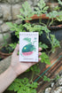 (20-Pack) Sereniseed Certified Organic Vegetable Seeds Non GMO, Open Pollinated - Basil, Snap Pea, Broccoli, Bean