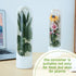 Herb Saver Pod for Refrigerator - 2 Pack Fresh Herb Keeper for Cilantro, Mint & Asparagus - Space-Saving Storage