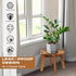 8 Demigo Indoor Plant Stand, Acacia Wooden Decorative Plant Shelf with Spill-Proof Tray, Stable Tall Flower Holder